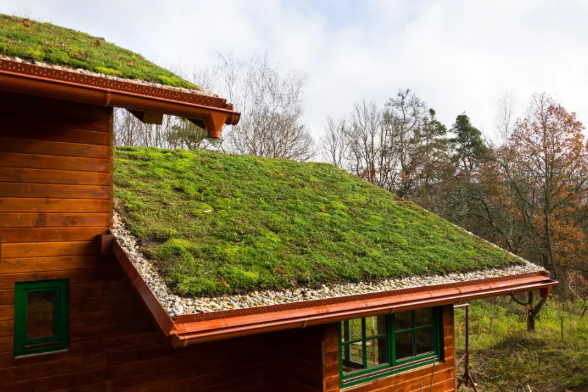 Green Roof